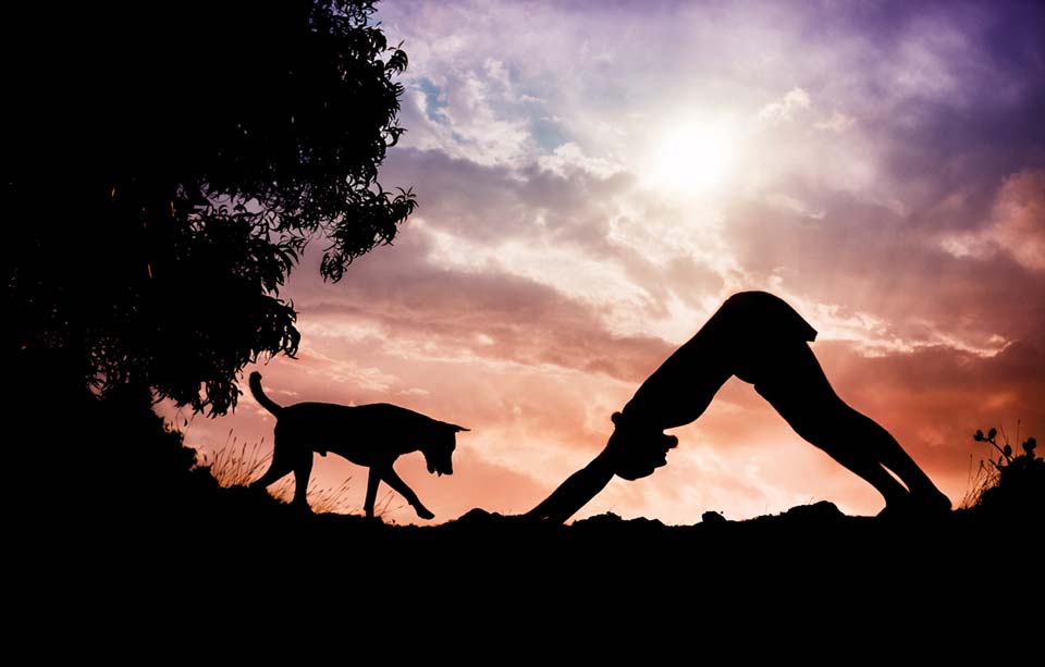 Downward Facing Dog (with Dog)