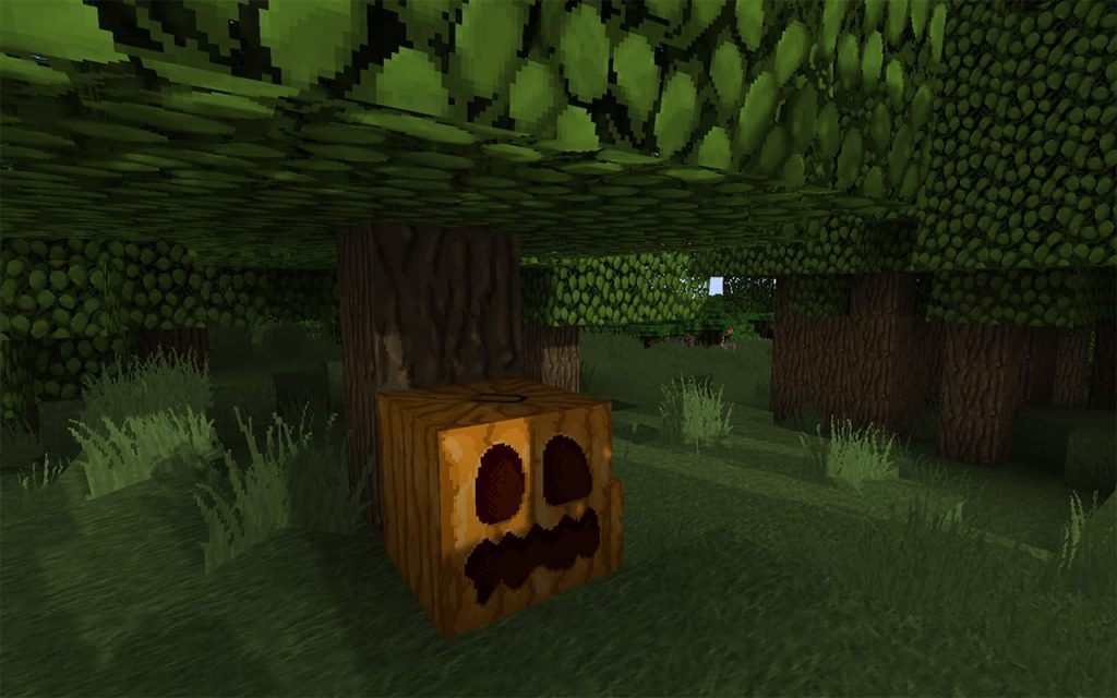 Carved pumpkin in Minecraft.